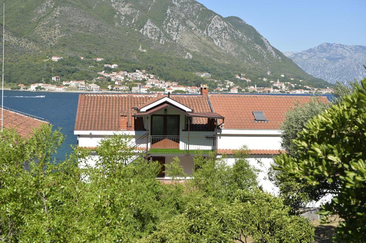 Viva Kotor Exterior foto